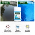 thumbnail image 2 of Pool Chlorine Tablets, 100 Count, Long-Lasting Cleaning Solution for Swimming Pools and Hot Tubs, 2 of 4