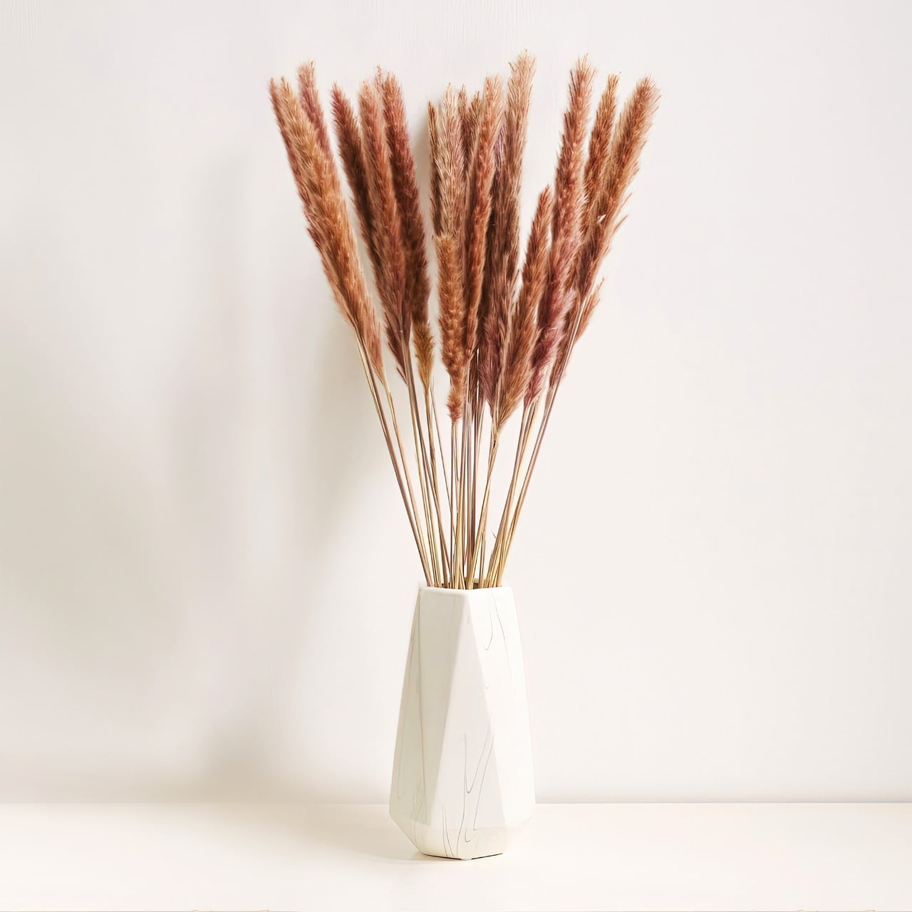 Pampas Grass 30 Stems, 18� Cocoa Brown Decor, Grass Pampas Grass 30 Stems, 18� Cocoa Brown Decor, Grass