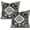 Rust Green 2, variant on Emerald Green and Gold Boho Pillow Covers 18x18 Set of 2, Hunter Green Throw Pillows Covers for Living Room Decor,Green Tropical Leaves Decorative Pillows for Couch Sofa Chair Car