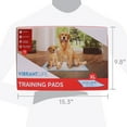 thumbnail image 2 of Vibrant Life Training Pads – Super Absorbent, Leak Proof, & Fast Dry Dog and Puppy Pee Pads – XL 26 in x 30 in, 75 Count, 2 of 9