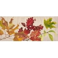 thumbnail image 2 of Miller, Dianne 14x8 Gold Ornate Wood Framed with Double Matting Museum Art Print Titled - Autumn Leaves Collection D, 2 of 4