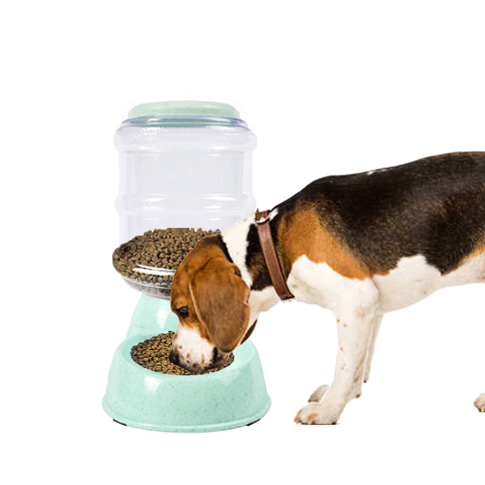 dog pet feeder