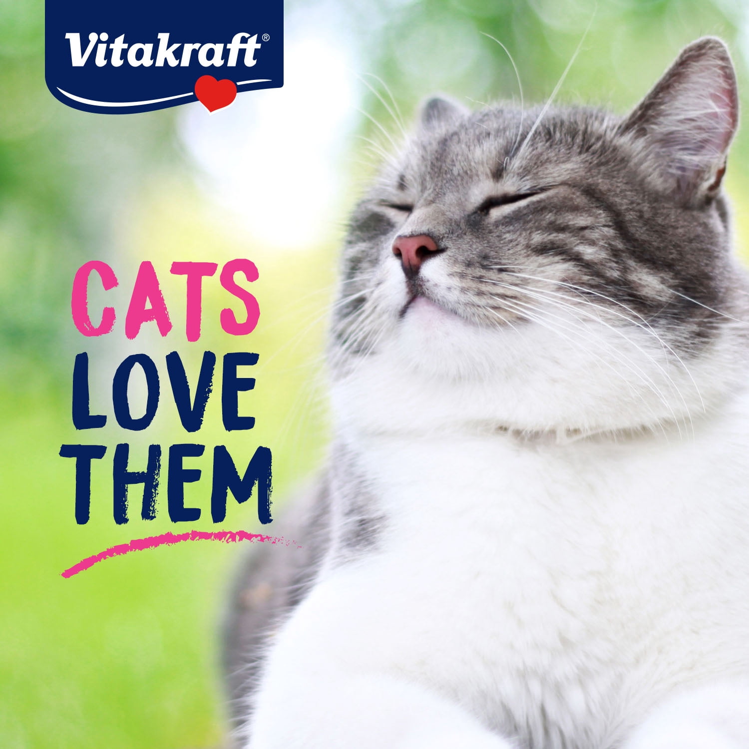 Vitakraft Meaty Morsels, Soft Cat Treats, Chicken with Pumpkin, 4 Count Multi-Pack