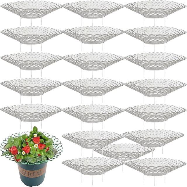 Yazoeia Strawberry Supports Strawberry Plant Support,Strawberry Plant Support Stand Strawberry Growing Racks Protector,Fruit Growing Frame with 3 Sturdy Legs for Planting CJC912-156497