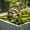Color B Home Decor, variant on Limited Time Deal karymi Acrylic Potted Plants and Courtyard Decorations Garden Stakes Indoor Outdoor Home Yard Decoration up to 90% off The Big Save Gifts for Women