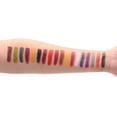 thumbnail image 4 of Narrative Cosmetics Master FX Palette, 18 Highly Pigmented Cream Colors, Professional SFX Makeup Palette for the Stage, Film, Costumes, Cosplay, 4 of 8