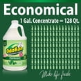 thumbnail image 4 of Concentrado desinfectante Odoban Original Eucalyptus 11.36L, 4 of 9