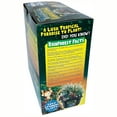 thumbnail image 4 of Toys By Nature: Tropical Rainforest Jungle - DIY Biosphere Terrarium Kit, Grow A Mini Plant Jungle, Golden Treasure & Animal Figure, Adults-Kids 4+, 4 of 8