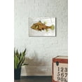 thumbnail image 2 of Epic Art 'Gold Turret Fish' by Fab Funky Acrylic Glass Wall Art, 16"x24", 2 of 2