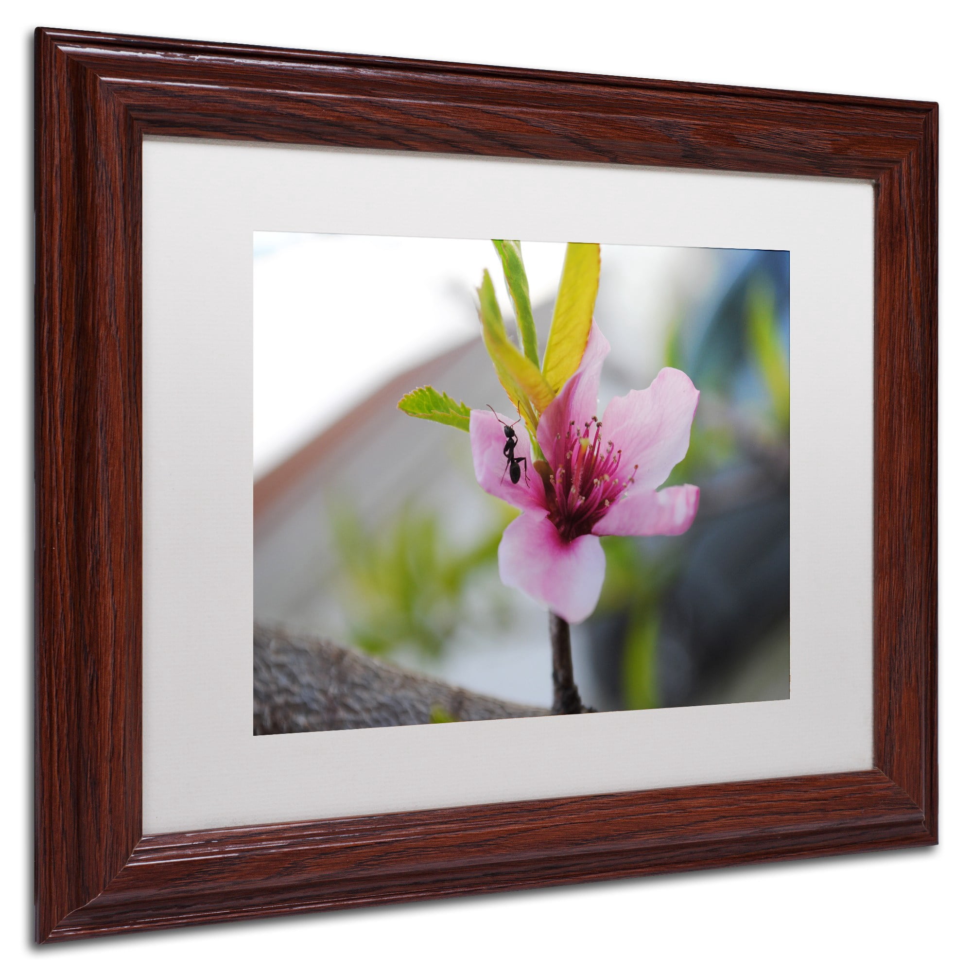 Trademark Fine Art "Expressive Individuality" Canvas Art by Monica Mize, White Matte, Wood Frame