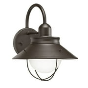 Aztec Lighting Transitional 1-light Olde Bronze Outdoor Wall Lantern