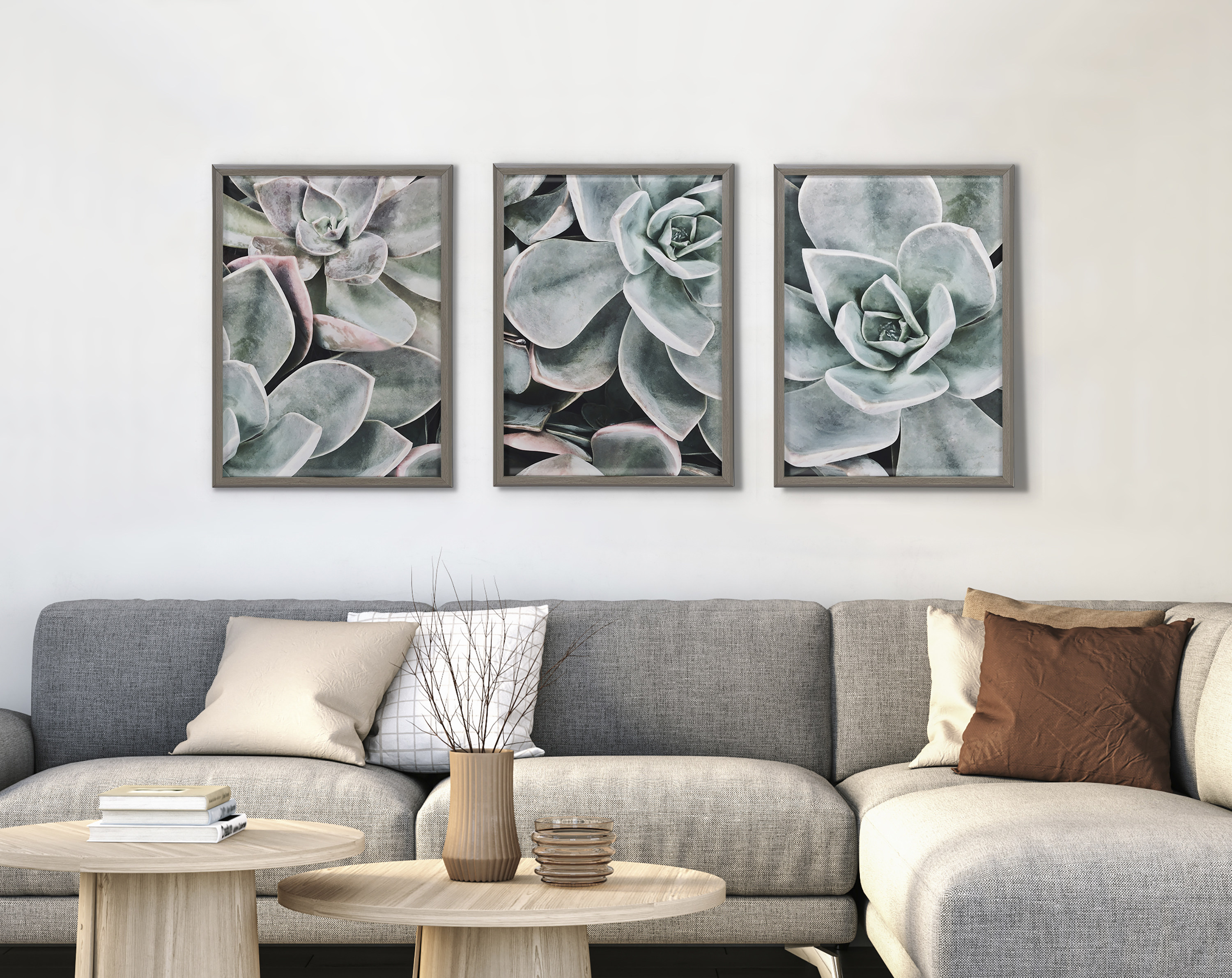 Kate and Laurel Blake Botanical Succulent Plant Framed Printed Glass Wall Art by The Creative Bunch Studio, 18x24 Gray, Succulent Art for Wall