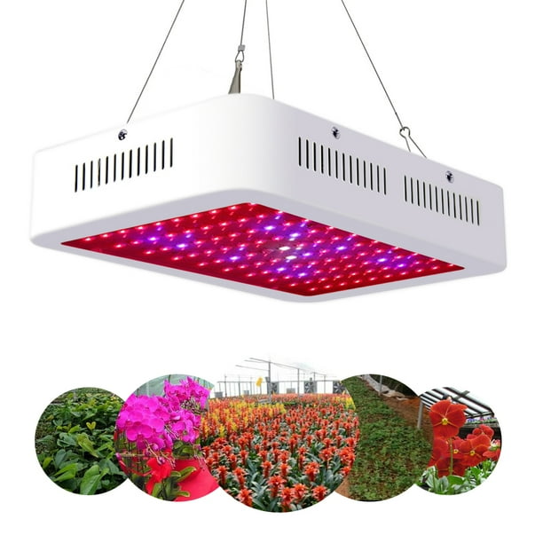 Led Grow Lights Upgraded 1000w 100pcs Led Dual Chips Grow Lights Full Spectrum Panel Plant Lights