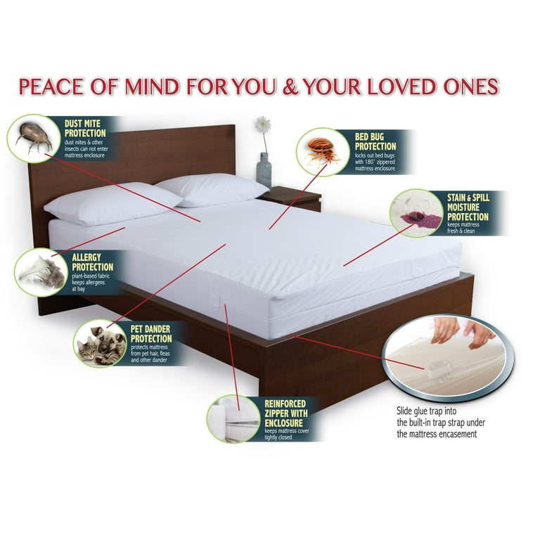 Walmart bed bug encasement deals