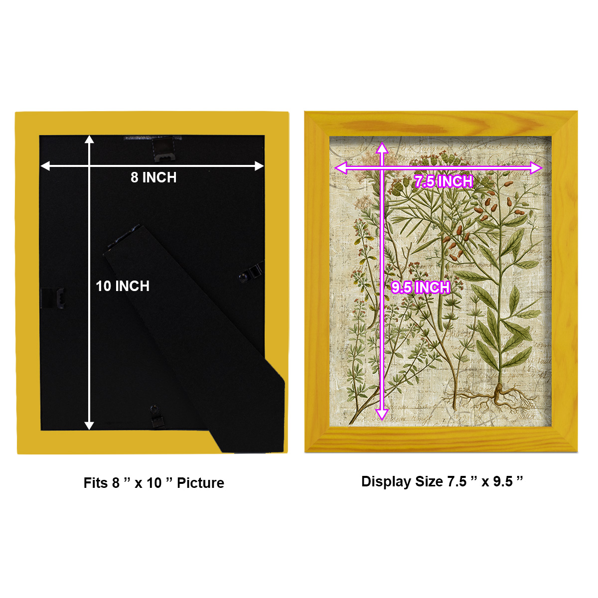 Garden Verses I -Framed Print w/glass-Sunflower Yellow