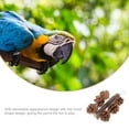 thumbnail image 5 of PTOOTP Parrot Chewing Toy Natural Pine Cone 1Pack for Chewing Time and Play, 5 of 5