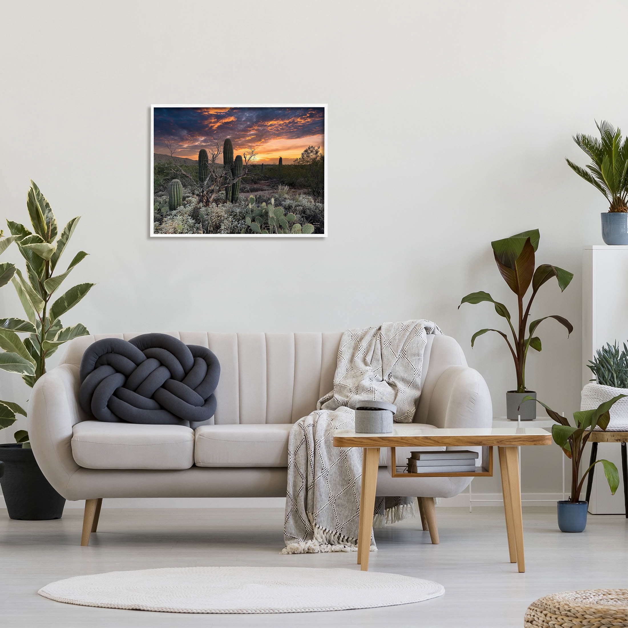 Stupell Industries Arid Desert Cactus Sunset Photograph White Framed Art Print Wall Art, Design by Nathan Larson