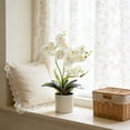 thumbnail image 6 of Artificial Phalaenopsis Orchid Bonsai Potted Plant Silk Flower Arrangement Realistic Home Decor Desktop Office Wedding Centerpiece Maintenance Free Floral Display Indoor Outdoor Decor, 6 of 6