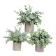 thumbnail image 1 of Plantas Artificiales en Maceta Strade Fareast Limited 3 Piezas Decorativas Estilo A, 1 of 8