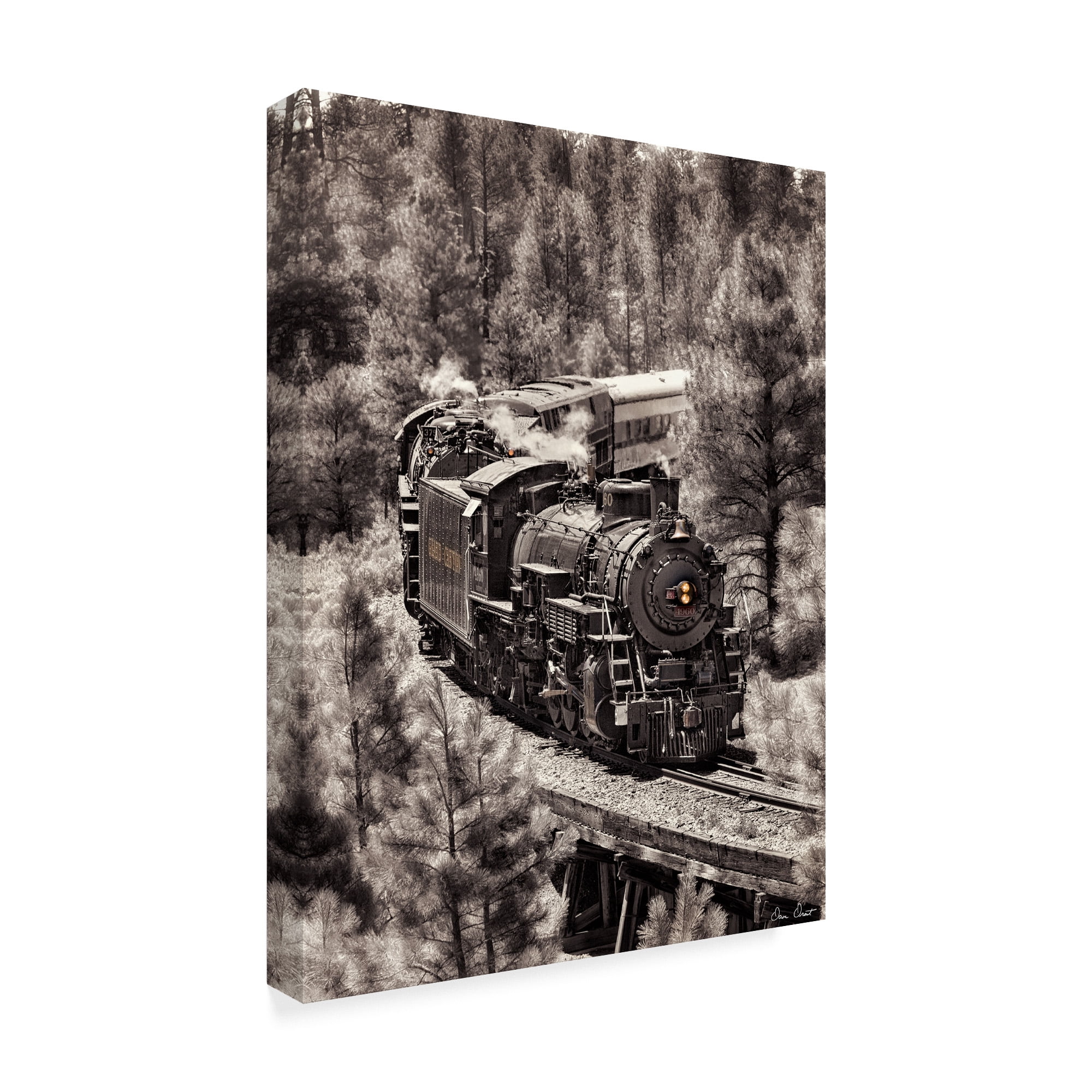 Trademark Fine Art 'Train Arrival III' Canvas Art by David Drost