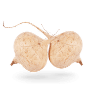 Jicama, 1 Lb.
