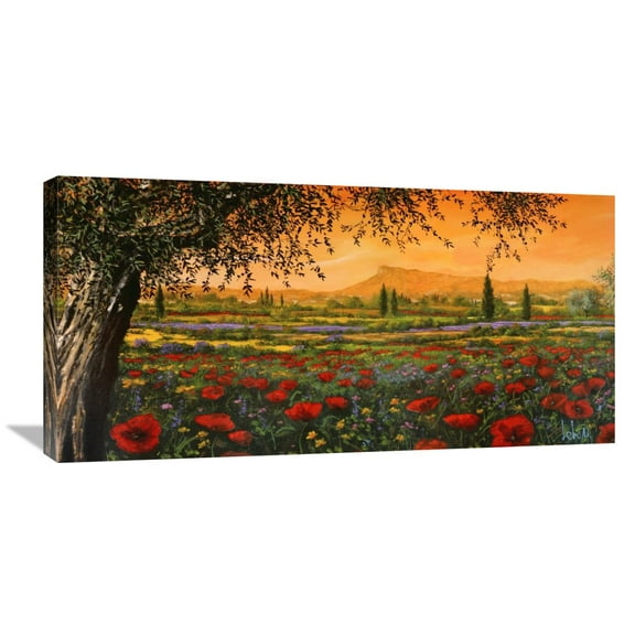 Global Gallery Tebo Marzari 'Pianura in Fiore' Canvas Wall Art