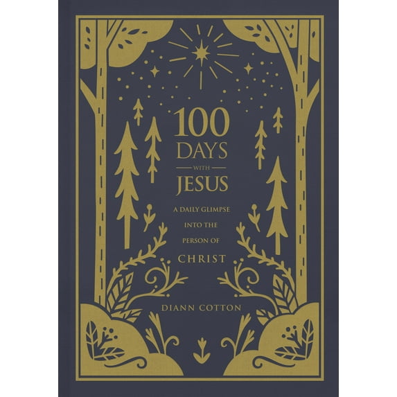 Pre-Owned 100 Days with Jesus : A Daily Glimpse into the Person of Christ (Hardcover)