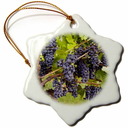 Martha's Vineyard Christmas Ornaments 3dRose Jewell Towne Vineyards, South Hampton, NH - US30 JMO1328 - Jerry and Marcy Monkman, Snowflake Ornament, Porcelain, 3-inch ()