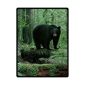 - CADecor Black Bear Family In The Forest Fleece Throw Blanket 58x80 inches