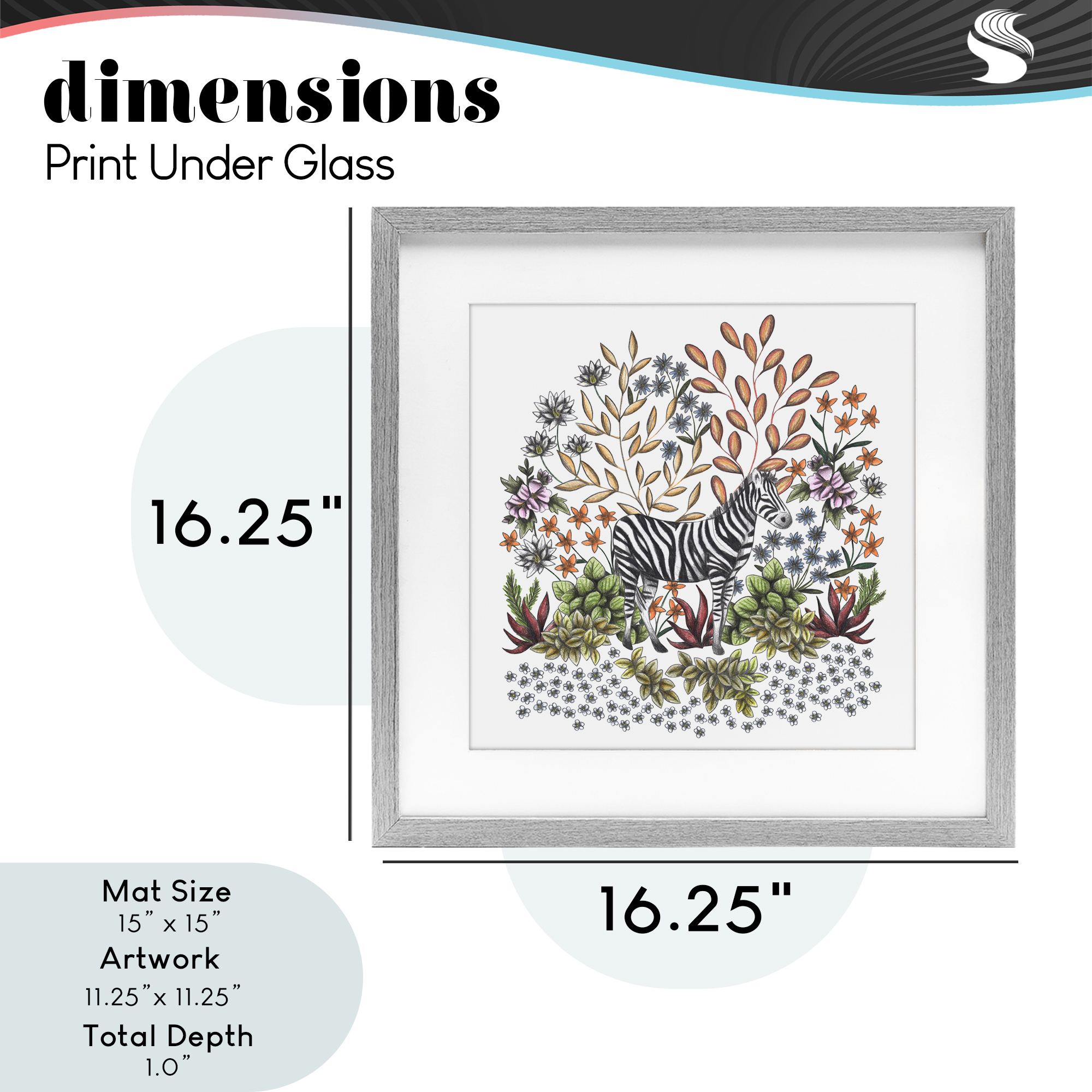 Jungle Wildlife Zebra Gray Framed Print Under Glass, design by Cecilia Battaini