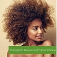 thumbnail image 3 of Giovanni Ultra Moist Conditioner Avocado, Olive Oil for Dry, Damaged Hair, Sulfate Free, No Parabens, 24 oz with Pump, 3 of 24