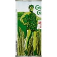 Green Giant Extra Long Asparagus Spears, 15 oz