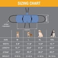 thumbnail image 5 of Azul - Arnés para perros, mochila de emergencia para mascotas, arnés elevador para cortauñas de perros, para lesiones articulares (XL, 1 unidad), 5 of 5