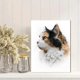 thumbnail image 2 of Qisvanset Fluffy Cat Portrait Canvas Print 12x16 Inch Entryway Decor, 2 of 8