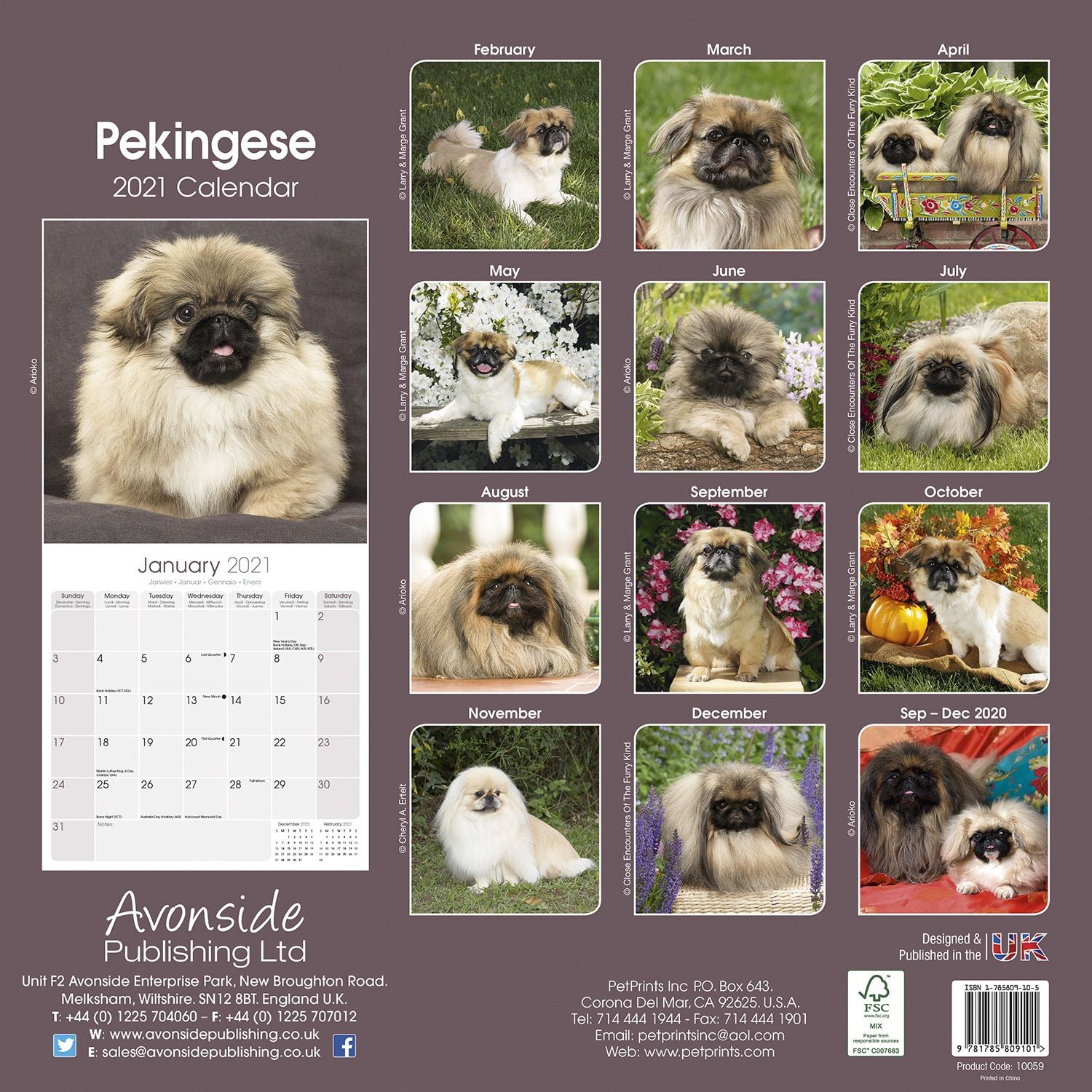 Pekingese Calendar 2021 Pekingese Dog Breed Calendar Pekingese Premium Wall Calendar 2021 Walmart Com Walmart Com 2021 pekingese calendar
