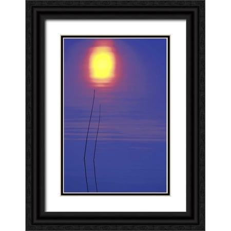 Carlson, Mark 13x18 Black Ornate Wood Framed with Double Matting Museum Art Print Titled - Michigan, Rushes and sunset reflection in lake