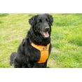 thumbnail image 4 of Clickit Sport Plus — Crash-Tested and Safety Certified Car Seat Belt Harness for Dogs — Large, Orange Dream, 4 of 5