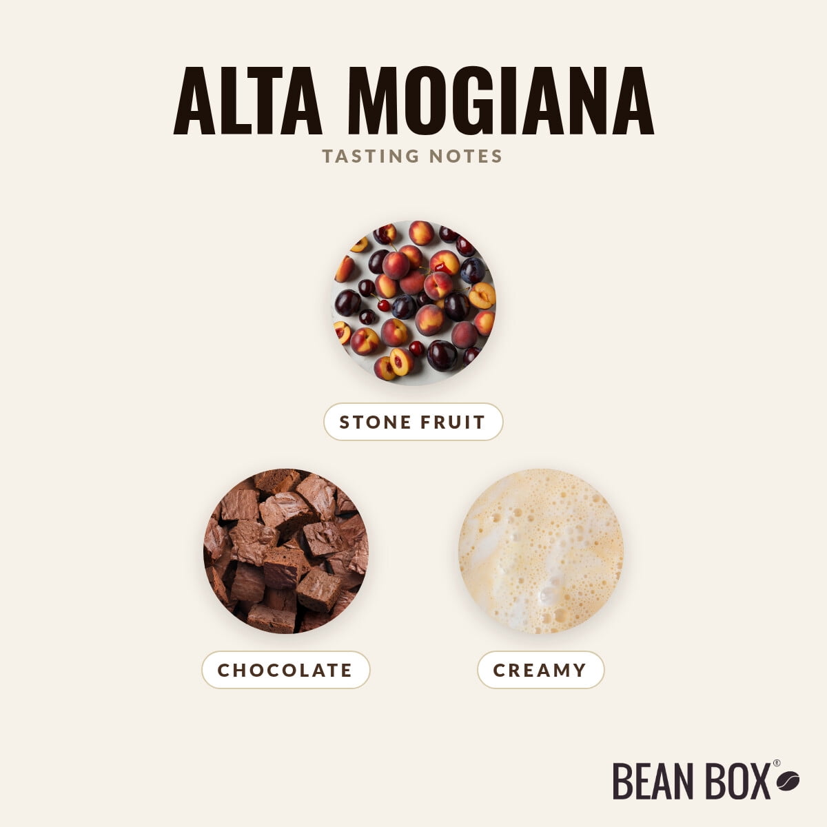 Alta Mogiana - Roasted by Casa Brasil Coffees - Whole Bean Coffee - 5lb Bag