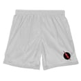 thumbnail image 3 of The Flash Reverse Flash Logo Mens Lined Mesh Shorts, Silver, 2X-Large, 3 of 6