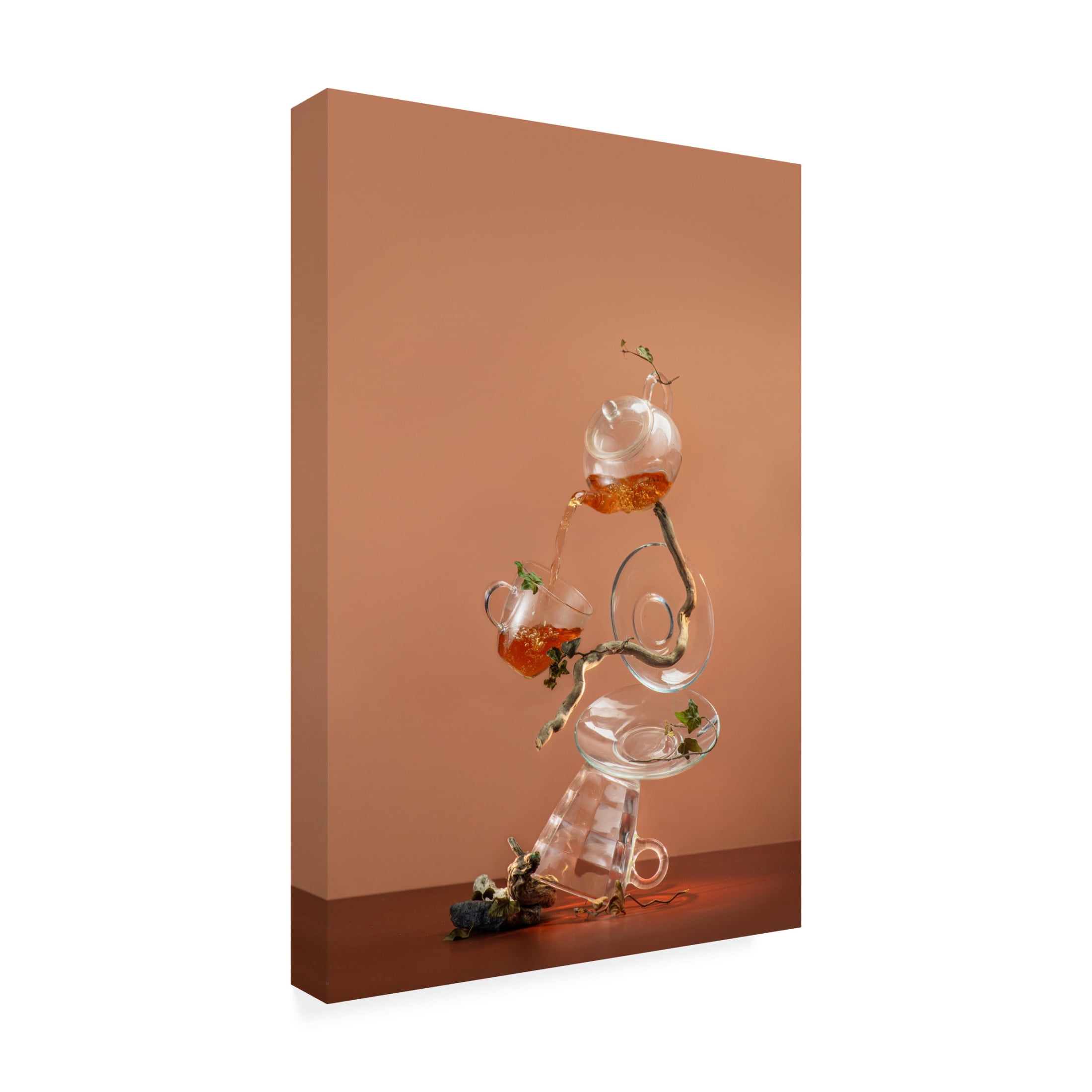 Trademark Fine Art Dina Belenko Acorns And Glass Canvas Wall Art