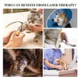 thumbnail image 5 of IKeener Portable Red Light Therapy Apparatus for Pet Health Relief Pain and Promote Healing, 5 of 6