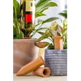 thumbnail image 2 of Cono de riego de arcilla, juego de 4 accesorios de riego, botella de 1,5 L, terracota, 2 of 5