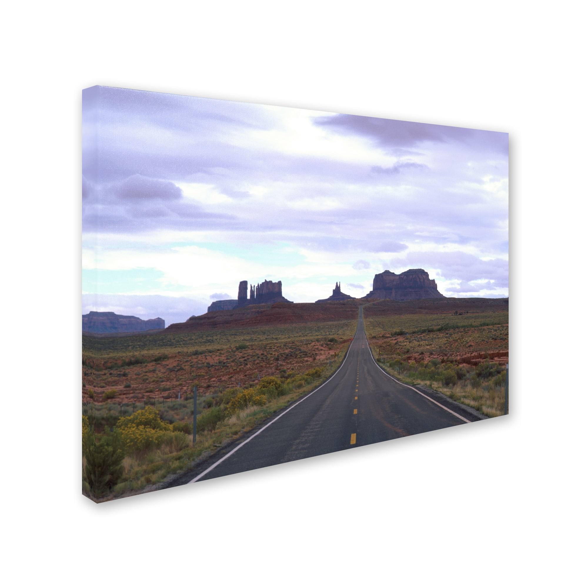 Trademark Fine Art 'Monument Valley 1' Canvas Art by Robert K Jones