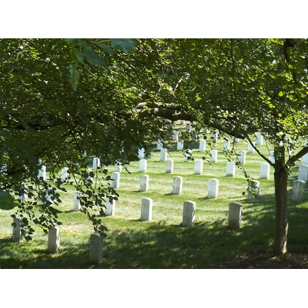 Canvas Print Honor Arlington National Cemetery Arlington Va Stretched Canvas 10 x (Best Foot Forward Arlington Va)