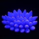 thumbnail image 4 of Decoración de acuarios Paisajismo Decoración de peces Tanque Imitación Suculentas Adorno de coral fluorescente Plantas artificiales con base para paisajismo de peces JFHHH pequeña, 4 of 4