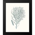 thumbnail image 2 of Esper, Johann 15x18 Black Modern Framed Museum Art Print Titled - Antique Coastal Coral I, 2 of 5