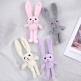 thumbnail image 2 of MesaSe Plush Pendant Drawable Anti-deform Non-shedding Full Filled Easy to Hang Rabbit 30cm Backpack Doll Pendant Key Accessory, 2 of 10