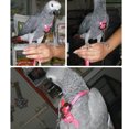 thumbnail image 2 of Dalazy Pet Bird Vest Leash Outdoor Flying Anti-bite Nylon Adjustable Bird Training Walking Leash Rope, 2 of 9