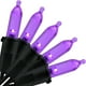 thumbnail image 1 of Luces LED navideñas Yuletime, moradas, 33 pies, 100 unidades, 1 of 7