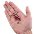 thumbnail image 5 of Berkley Shallow Money Badger Fishing Crankbait, 1.5 in, Hybrid Baitfish-Crayfish, 5 of 6